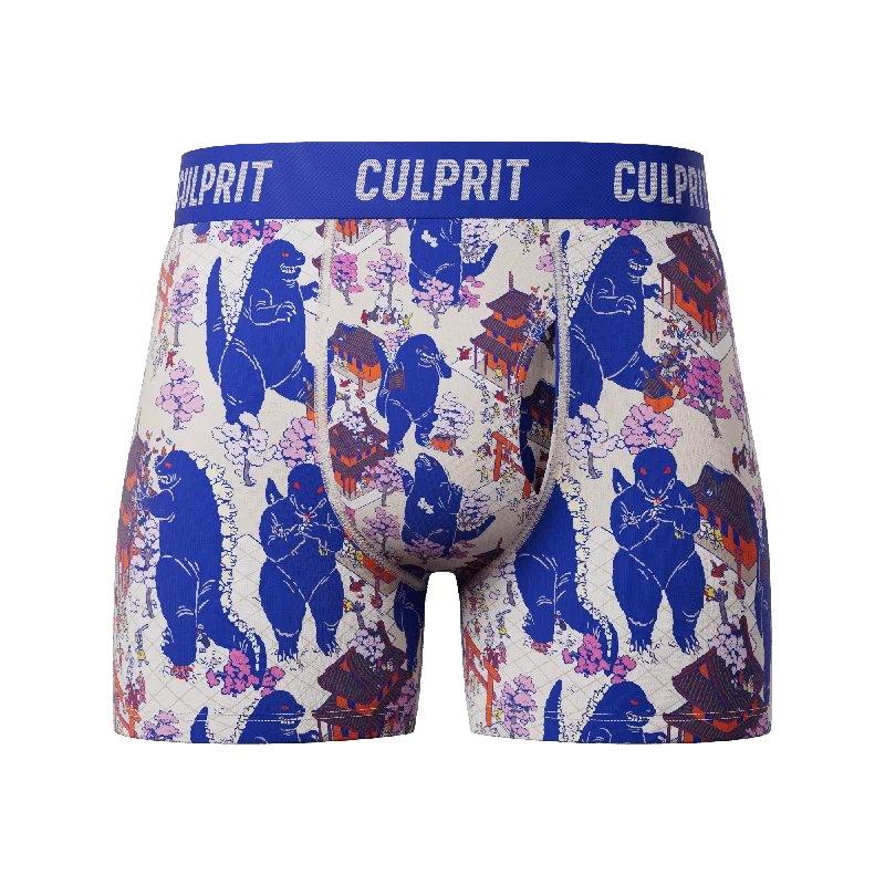 Buy Now Lizard King 🐲 Boxer Briefs w/ fly